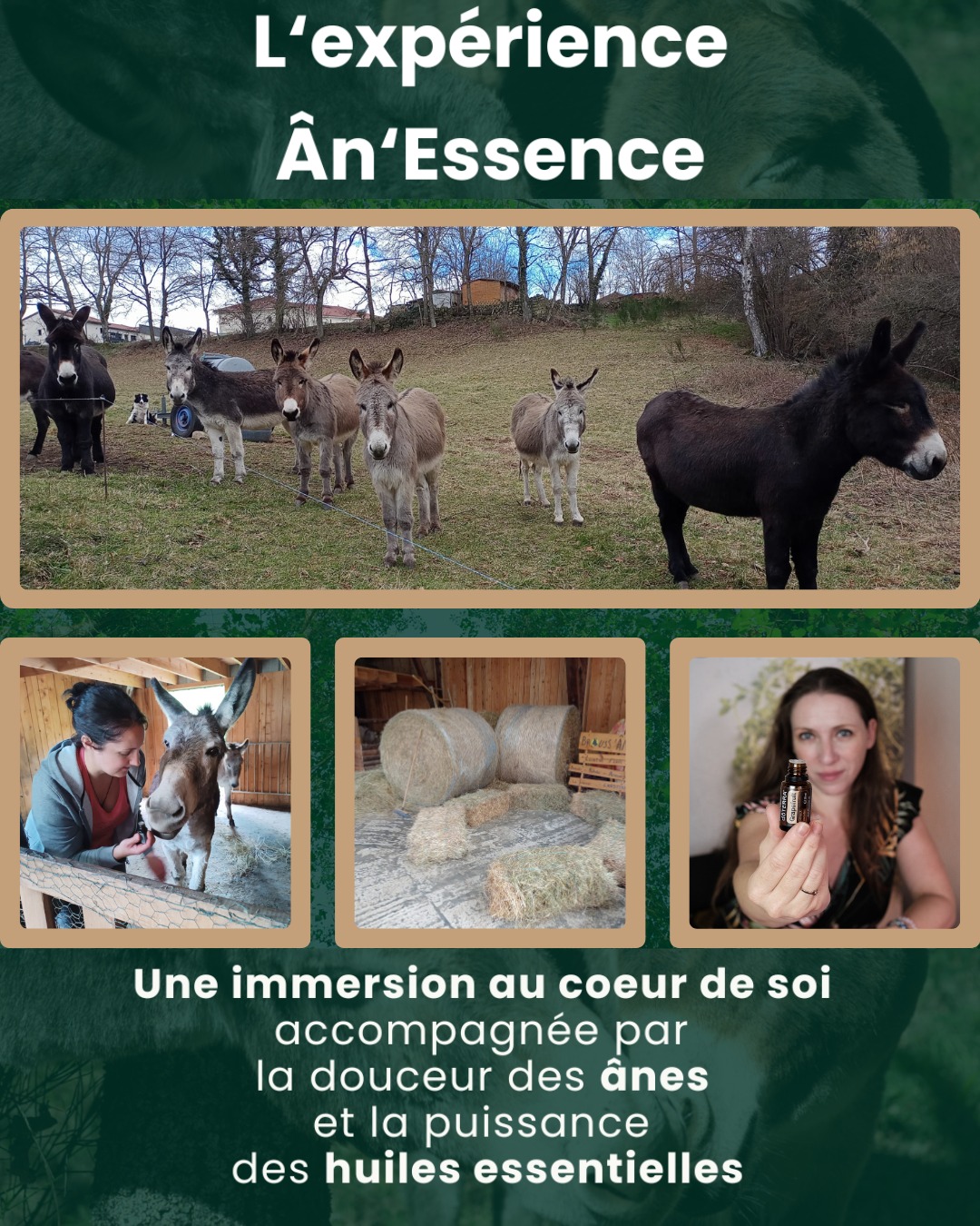 Expérience Ân’Essence