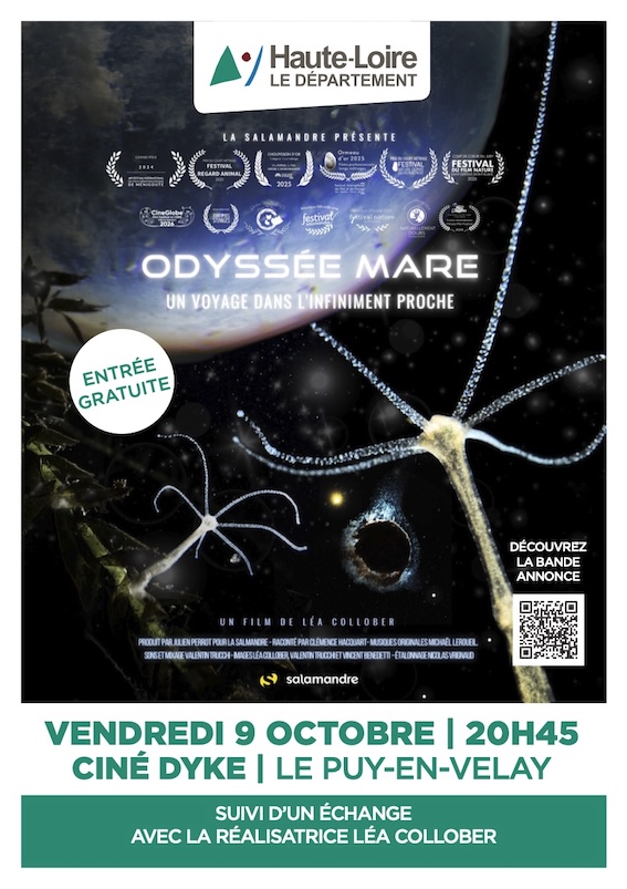 ODYSSEE MARE : UN VOYAGE DANS L'INFINIMENT PROCHE