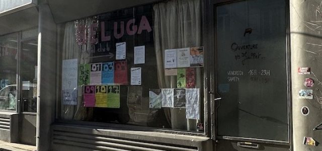 2212-Beluga3.jpg