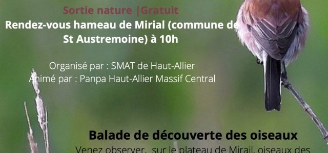 2306-Affiche-balade-Natura-2000-a-Mirial-4-juin-2023.jpg