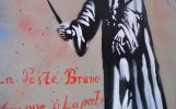 2311-Peste-Brune.jpg