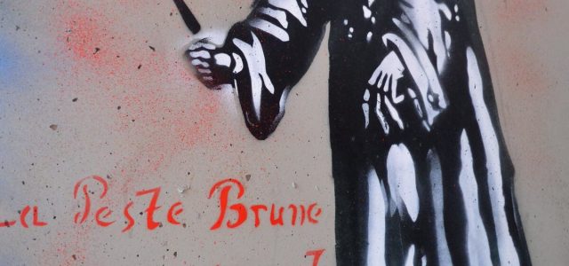 2311-Peste-Brune.jpg
