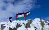 2403-Palestine2-copie.jpg
