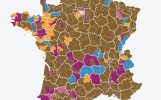 2407-05-electionsLegis.jpg