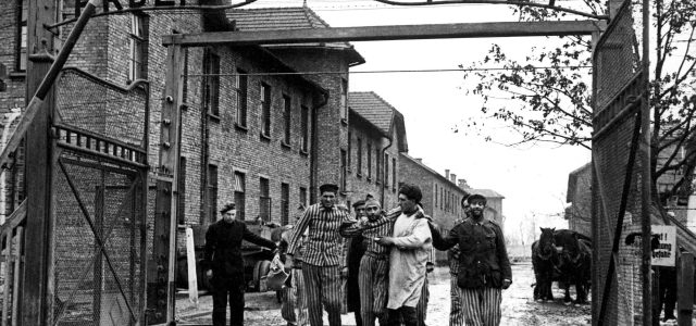 liberation-dAuschwitz-scaled.jpeg